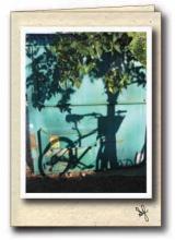 Bicycle leaning against tree